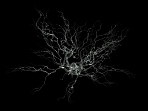 Neuron SEM image